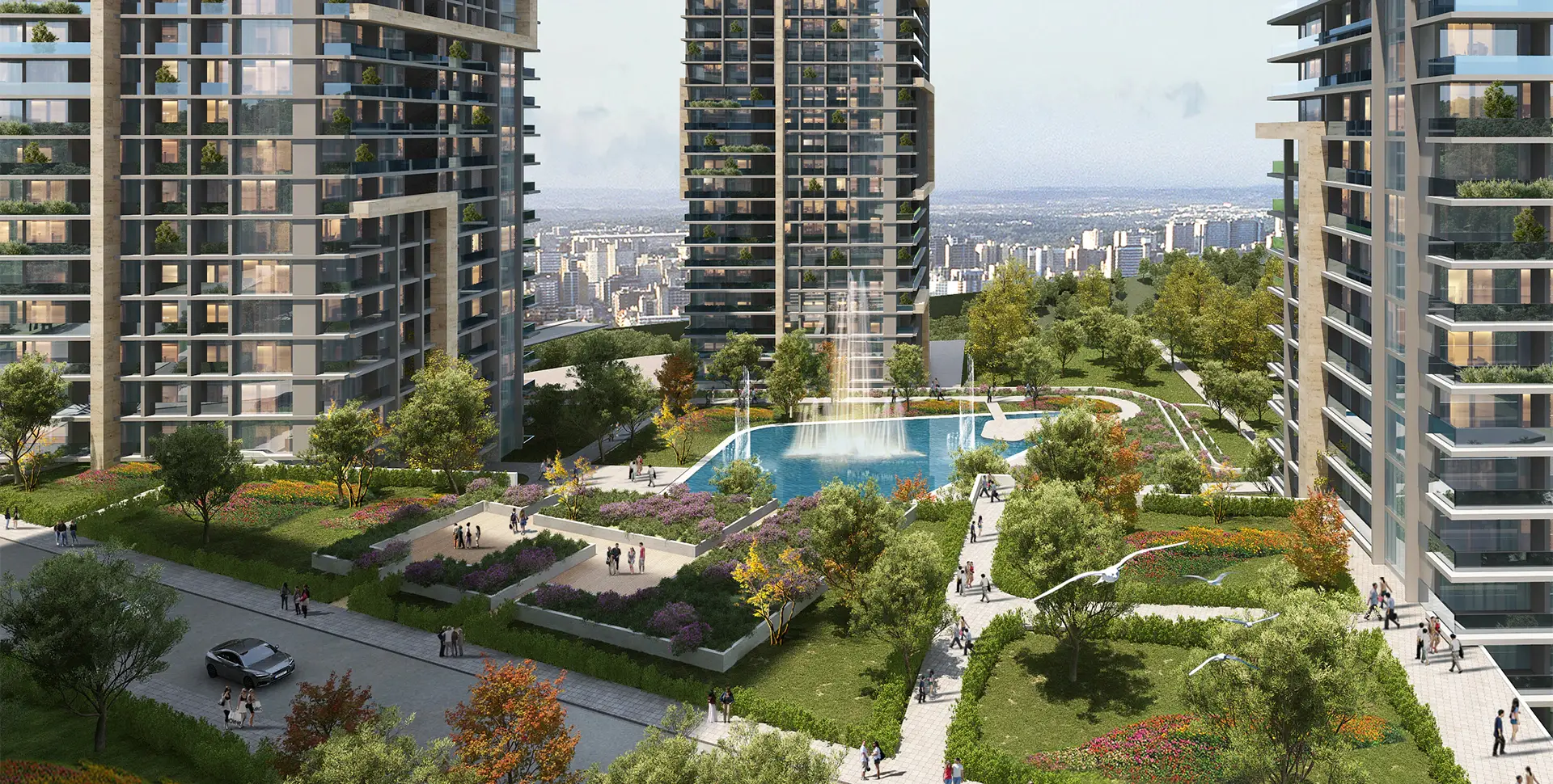ANGİM Oran proje görseli